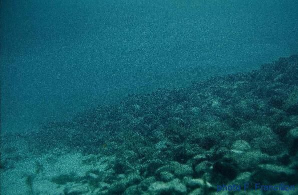 tnevire pilotis palafitte amas de cailloux archologie subaquatique