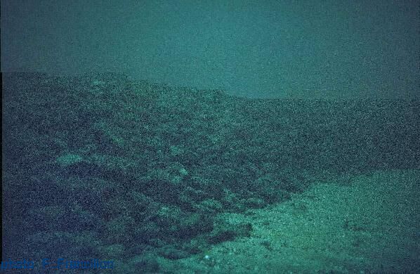 tnevire pilotis palafitte amas de cailloux archologie subaquatique